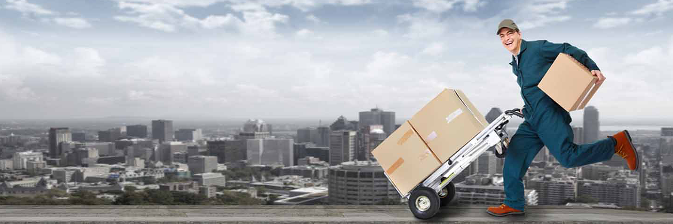 Neo Packers and Movers