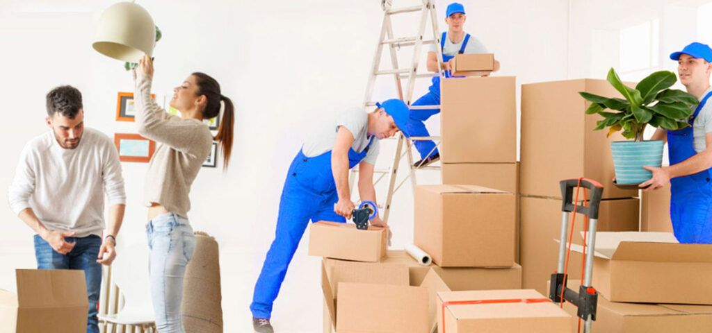 Movers and Packers in Noida Sector 79